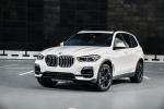 BMW X5 xDrive30d 2018 года (WW)